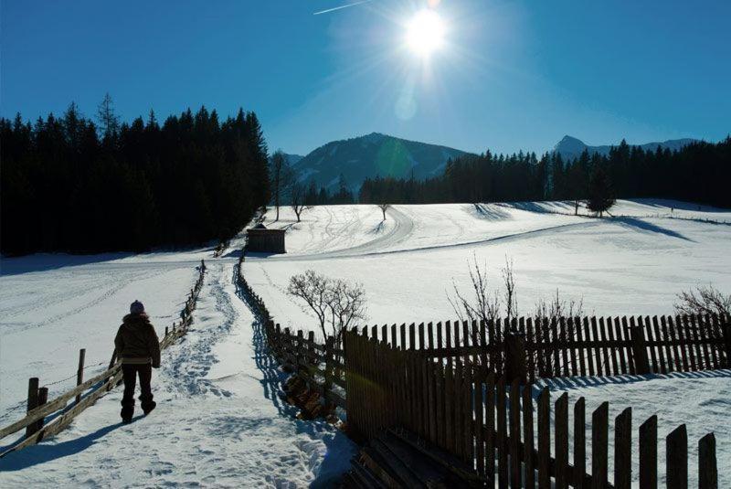 Alpengasthof Fichtenheim Otel Ramsau am Dachstein Dış mekan fotoğraf